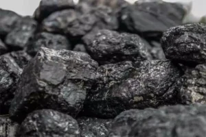 سلاجیت shilajit Asphaltum punjabinum शिलाजीत