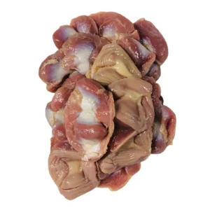 سنگ دانہ مرغ Chicken Gizzard मुर्गी का गिज़ार्ड