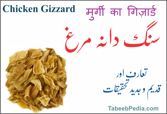 سنگ دانہ مرغ