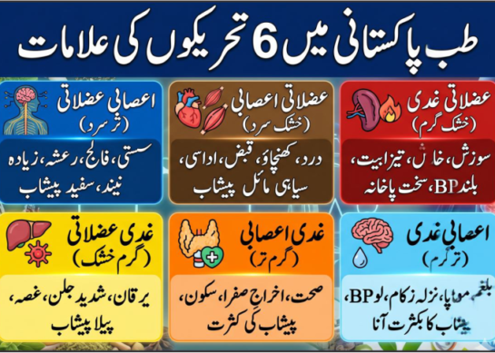 طب پاکستانی میں 6 تحریکوں کی علامات