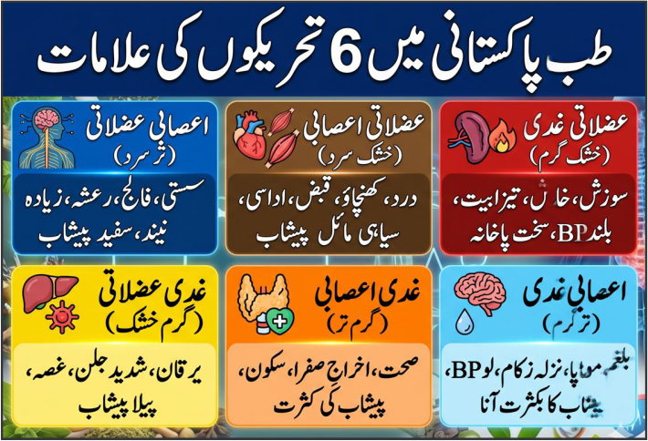 طب پاکستانی میں 6 تحریکوں کی علامات