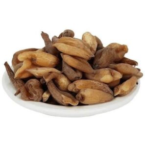 سورنجاں تلخ Bitter Colchicum Colchicum autumnale सूरंजन कड़वा
