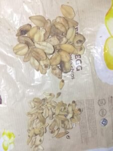 سورنجاں تلخ yellow colchicum Colchicum luteum