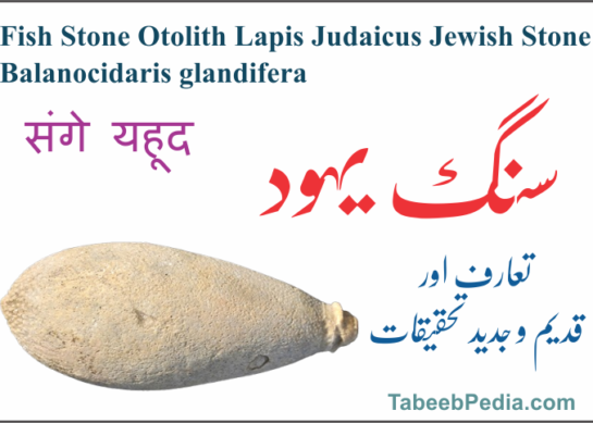 سنگ یہود