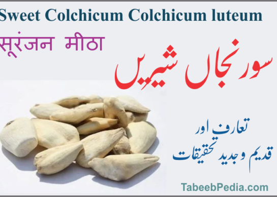 سورنجاں شیریں