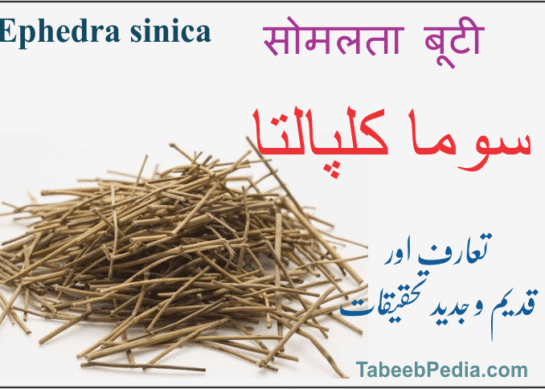 سوما کلپالتا