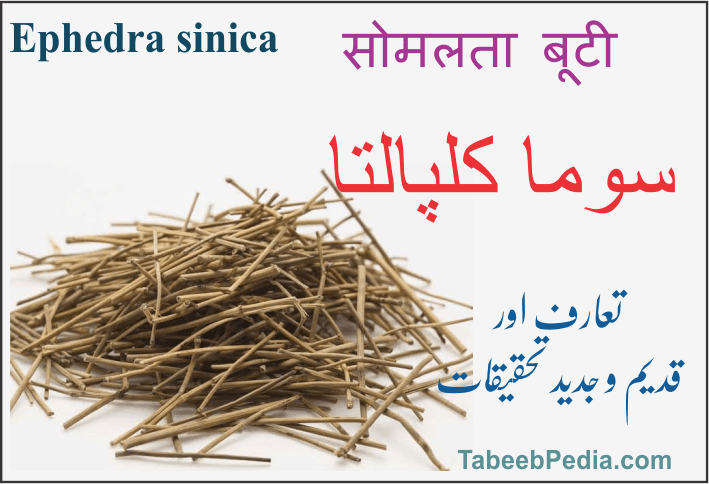 سوما کلپالتا