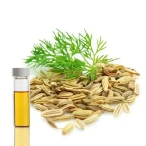 سوئے Dill Anethum graveolens सोआ