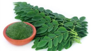 سہانجنہ Moringa Moringa oleifera Lam सहजन