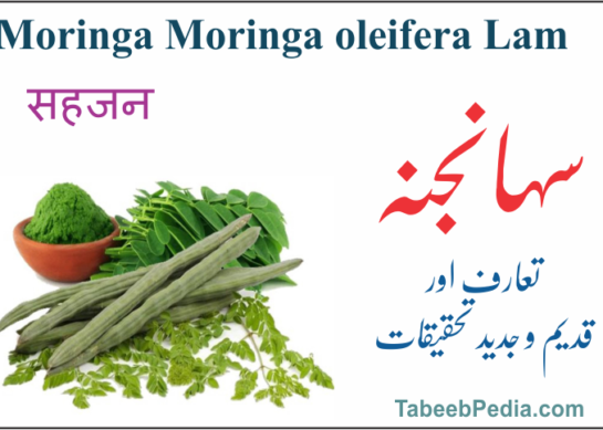 سہانجنہ