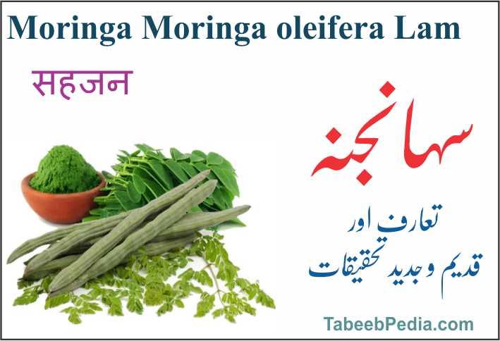 سہانجنہ